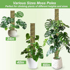 60"/40"/24" Metal Moss Pole, D Shape Sphagnum Moss Pole, Moss Poles for Climbing Plants, Monstera, Indoor Climbing Plants (2 Each of 60" 40" 24")