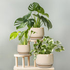 G EPGardening Ceramic Planter - 7 Inch Plant Pots with Drainage and Ceramic Tray, Flower Pots for Indoor Plants, Round Outdoor Planter, Room Decor, Gifts for Plant Lovers, Beige
