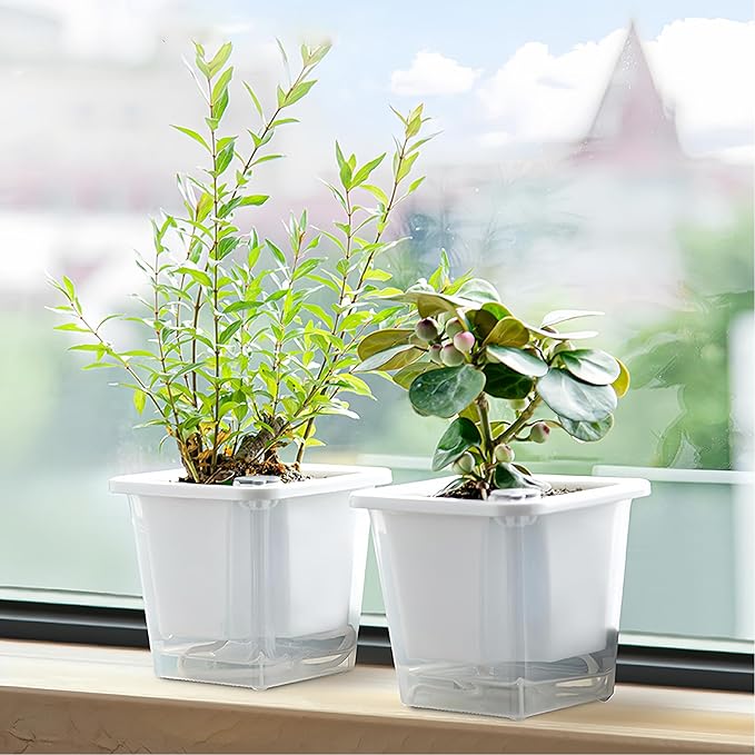 FAMZ Self Watering Pots for Indoor Plants 3 Pack，Clear Plant Pots with Drainage for African Violet、 Orchid、Succulent Plants Square Plant Pots（White 5.12"）