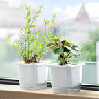 FAMZ Self Watering Pots for Indoor Plants 3 Pack，Clear Plant Pots with Drainage for African Violet、 Orchid、Succulent Plants Square Plant Pots（White 5.12"）