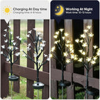 Solar Garden Lights Outdoor,Solar Lights Outdoor Decorative Waterproof for Outside 8Pack,160Led Solar Flowers Garden Decor, Yard Pathway,Patio Fairy Decorations,Gardening Gifts for Women Mom