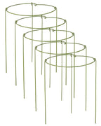 5 Pack Plant Support Stakes, Adjustable Plant Ring Cages with Green Rubber Wrapping, Ideal for Orchids, Indoor and Outdoor Potted Plants, 6" Wide x 11" High