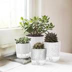 4 Pack Self Watering Pots for Indoor Plants, 4/5.5 Inch Lightweight Planters with Water Reservoir, Flower Pots for African Violet, Spider Plant, Orchid