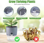 6 Inch Self Watering Pots for Indoor Plants, 6 Pack Grey Plastic Flower Pots with Drainage Holes for African Voilet Herbs All House Plants (Include 1 Spray Bottle)