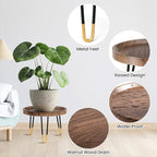 Plant Stand Indoor Outdoor, Mid Century Style Walnut Wood Color Plant Stand,Waterproof Design Modern Plant Table,Easily Assemble Come With Tools,Nice For Room Decor (M)