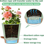 Aulock 6in Self Watering Pots for Indoor Plants - 3pcs Bottom Watering African Violet Planters with Drainage, Plastic Houseplant Flower Pots for Snake Plant Succulent Garden Live Plants