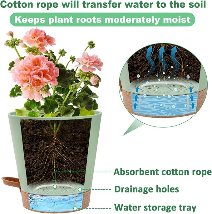 Aulock 6in Self Watering Pots for Indoor Plants - 3pcs Bottom Watering African Violet Planters with Drainage, Plastic Houseplant Flower Pots for Snake Plant Succulent Garden Live Plants