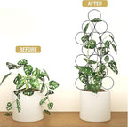 Trellis for Climbing Plants Indoor, 3 Pack Stackable Garden Trellis for Potted Plant Support, 14.2 Inch Small Houseplant Metal Wire Trellis for Vine Ivy Rose Plant Trellis (Black)