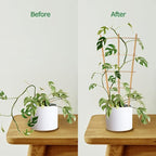 Bamboo Trellis 10 Pack, 16in Fan-Shaped Plant Trellis Indoor for Climbing Plants