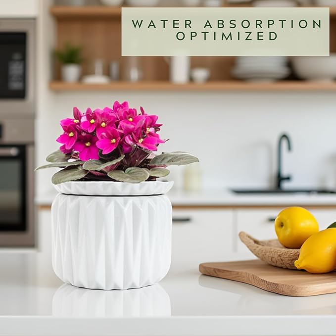 6 Inch African Violet Pots Self Watering, Ceramic Planter with Water Reservoir and Fill Lines, 4 Inch Opening, Indoor Flower Pot, Holds 3 Weeks of Water (1 Pack)