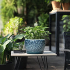 SQOWL 8 inch Plant Pot - Ceramic Pots for Plants Indoor, Decorative Plant Pot with Drainage Hole and Saucer, Ceramic Flower Pots Outdoor, Round Planter, Living Room Decor, Garden Gifts for Women, Blue