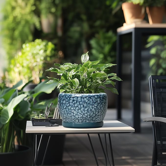SQOWL 8 inch Plant Pot - Ceramic Pots for Plants Indoor, Decorative Plant Pot with Drainage Hole and Saucer, Ceramic Flower Pots Outdoor, Round Planter, Living Room Decor, Garden Gifts for Women, Blue