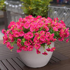 Artificial Flowers for Outdoors, UV Resistant Fake Silk Morning Glory, Realistic Faux Plants for Outside Porch Patio Window Box Hanging Planter (16, Hot Pink)
