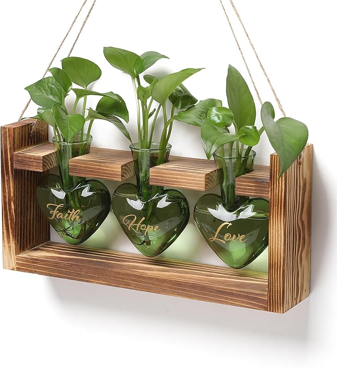 Terrarium Set, Heart Shaped Glass with Wood Stand, 3 Green Vases