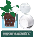 D'vine Dev 8 Inch Design Self Watering Planter for Indoor Plants, White Terracotta Pot with Teal Cylinder Glass Cup, 37-X-C-5