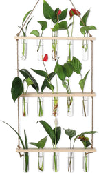 Terrarium Propagation Station with 16 Glass Test Tubes, Beige Wood Stand
