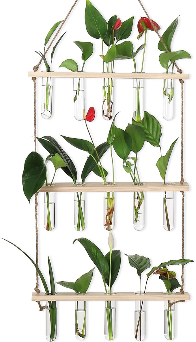 Terrarium Propagation Station with 16 Glass Test Tubes, Beige Wood Stand
