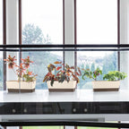 Window Box Planter with Tray, 12" Rectangle Plant Pot, Pack of 3 (Beige)