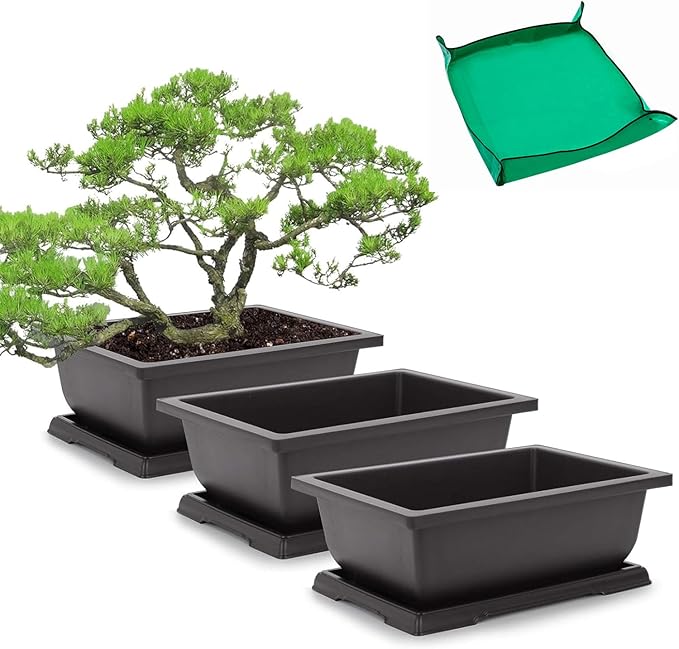 Bonsai Pot Set, 9 Inch Black Plastic, 3 Pack with Drainage Holes