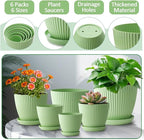 7.5/6.5/5.5/4.9/4.2/3.5 Inch Plant Pots with Saucers & Drain Holes - Indoor/Outdoor Flower Pots for Succulents, Herbs, Cactus - Modern Lightweight Durable Planter Set, Green