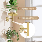YUOROS 3 Pack Wall Plant Holder Stand Wall Planters for Indoor Plants Hanging Window Plant Hanger Decor (Gold)