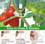 250 Pcs Tomato Clips, Plant Support Clips and J Tomato Hooks, Plastic Trellis Clip Vegetable Cages Vine Garden Clip for Tomatoes Cucumber Grape Melon, Makes Plants Grow Upright or Prevent Falling Off