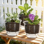 Self Watering Pots, 3 Pack 6.5/5/4 Inch Clear Plant Pot Self Watering Planter Flowers Pot with Deep Reservoir for Indoor Plants (3 Medium)