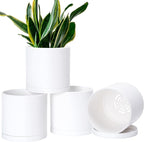 Planters Set of 4 White Plastic Pots with Saucers, 6.5 Inch Matte
