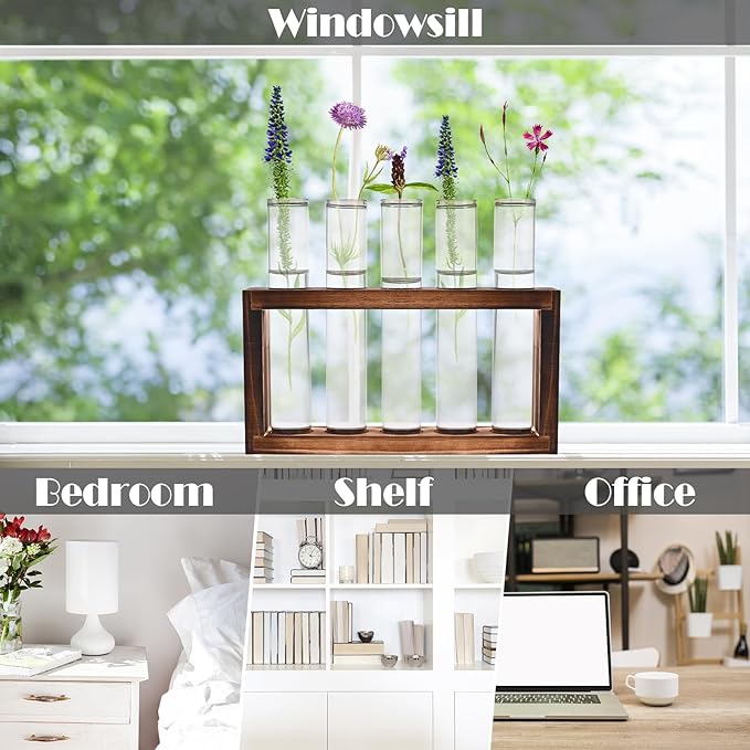 Terrarium Propagation Station, 5 Clear Glass Tubes with Pine Wood Stand