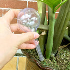 8 Pcs Clear Plant Watering Globes,Plastic Self Watering Bulbs Ball,Garden Water Device for Plant Indoor Outdoor(Small)