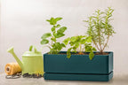 D'vine Dev 12 Inch Window Box Planter, Rectangle Plastic Herb Planter with Drainage Holes and Saucer, Indoor Succulent Cactus Vegetable Pot for Windowsill, Garden Balcony, Green, Set of 2, 76-X-C-2