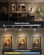 Rechargeable Indoor Spotlight, 5500mAh, Dimmable with 3000K-6500K Color Temps