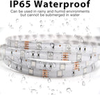 DAYBETTER Waterproof LED Light Strips 66ft, Outdoor LED Strip Lights Color Changing 5050 RGB LED Strip Lights with Remote Control, LED Lights for Indoor Outdoor Use, IP65 (2 Rolls of 33ft)