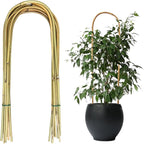 20 Pack Bamboo U Trellis for Potted Plants - 16 Inch U-Shaped Plant Support Hoop, Heavy-Duty Arch Stake for Climbing Vines Cucumbers, Indoor/Outdoor Rustic Garden Training Frame