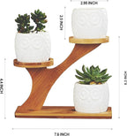 FLOWERPLUS Planter Pots Indoor, 3 Pack 3 Inch White Ceramic Decorative Small Owl Succulent Cactus Flower Plant Pot with Tree Tier Bamboo Stand for Garden Kitchen Home Office Desk Decorations