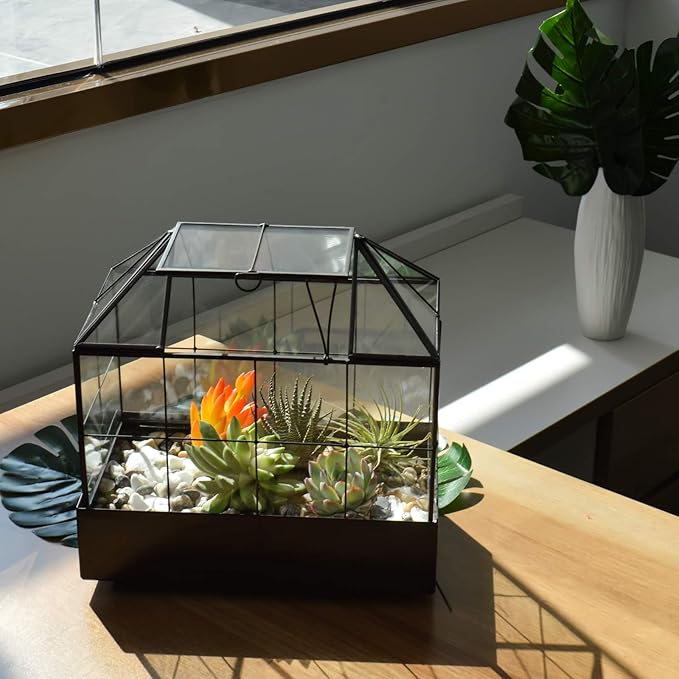 Terrarium House Shape Glass Greenhouse with Black Brass Frame and Tray