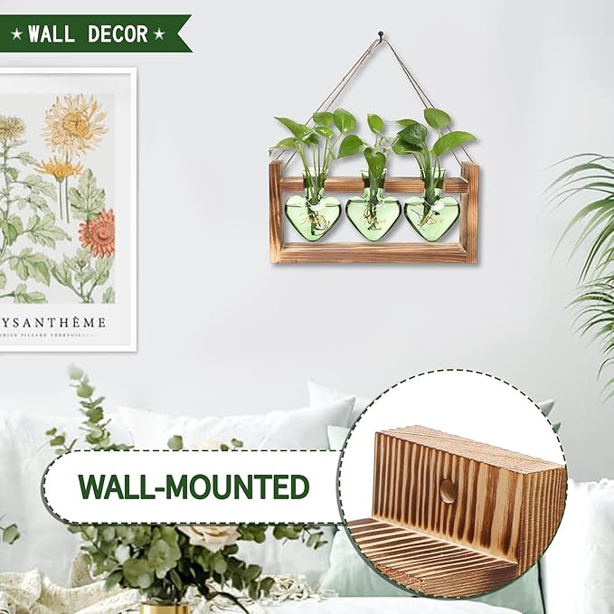 Terrarium Set, Heart Shaped Glass with Wood Stand, 3 Green Vases