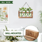 Terrarium Set, Heart Shaped Glass with Wood Stand, 3 Green Vases