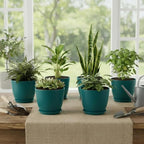Plant Pots 8 Inch Set of 6, Flower Pots with Drainage Holes and Saucer, Plastic Garden Planters for Indoor & Outdoor Plants (Deep Green)