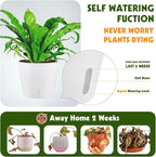 Self-Watering Pots for Indoor Plants, 8-Pack Self Watering Planter with Drainage Holes, Small African Violet Pots with Water Indicator, 5 Packs 5''/3 Pack 6.7'' Orchid Pot, White