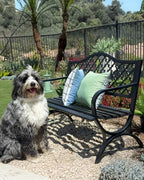 PHI VILLA 50" Outdoor Garden Patio Metal Bench for Outdoors with Plastic Backrest Armrests Sturdy Steel Frame, Black