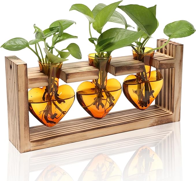 Terrarium Set with Amber Heart Glass Vases and Wood Stand, 3 Pieces