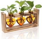 Terrarium Set with Amber Heart Glass Vases and Wood Stand, 3 Pieces