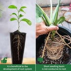 20 Pcs Plastic Deep Nursery Pots - 9.8" Tall Tree Pots, Indoor/Outdoor Use with 3 Pcs Garden Tools