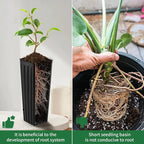 20 Pcs Plastic Deep Nursery Pots,9.8" Tall Tree Pots,Tall Nursery Tree Pots Plant Deep Seedling Pots, Flower Plant Container Pots with 3 Pcs Garden Tools for Indoor Outdoor Use