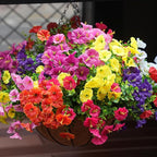 Artificial Flowers for Outdoors, UV Resistant Fake Silk Morning Glory, Realistic Faux Plants for Outside Porch Patio Window Box Hanging Planter (12, Purple Fuchsia Yellow Orange)