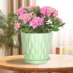 6 Pack 6 Inch Indoor Plant Pots with Drainage Holes, Outdoor Plastic Decorative Flower Pots, Garden Planters with Tray Saucers for Orchids, Violets, Succulents, Herbs, and Other Plants