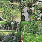 Trellis Netting, CANAGROW Heavy-Duty Garden Plant Trellis Netting for Climbing Plants, Outdoor Indoor Grow Net for Beans Tomatoes Peas Pumpkin Flowers, 𝟔 𝐱 𝟑𝟎𝐟𝐭, 𝐏𝐚𝐜𝐤 of 4
