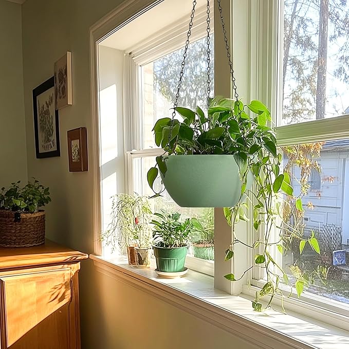 T4U 10 Inch Hanging Planters for Indoor Outdoor Plants, 2 Pack Plastic Hanging Planter, Indoor Hanging Plant Pots, Hanging Basket with Drainage Holes, Flower Pots for Garden Home Decor，Green