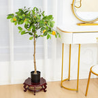 Geetery 2 Pcs 4 to 12 in Wooden Plant Stands Indoor Chinese Oriental Plant Stand for Vase Fishbowl Flower Pot Lamp Redwood Base Vintage Display Rack Decor(10 Inch)